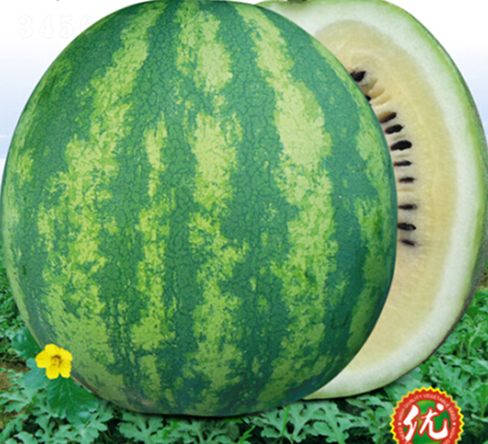 �·����1��-��������-�ٷ���ҵ