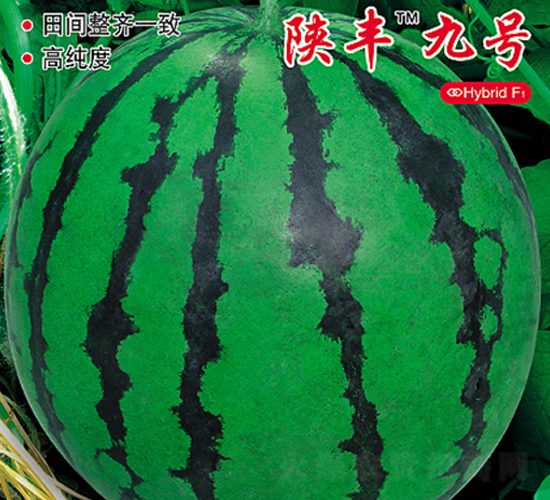 �·�9��-��������-�ٷ���ҵ