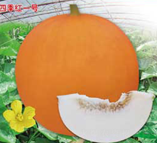 �ļ���һ��-�������-�ٷ���ҵ