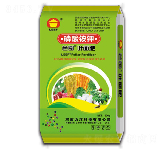 ����識�Ҷ���-�Ŷ�-�����Ƽ�