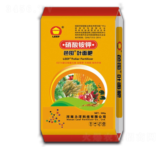 ����識�Ҷ���-�Ŷ�-�����Ƽ�