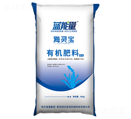 �л�����-���鱦-������