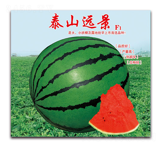 ̩ɽԶ��-��������-��������