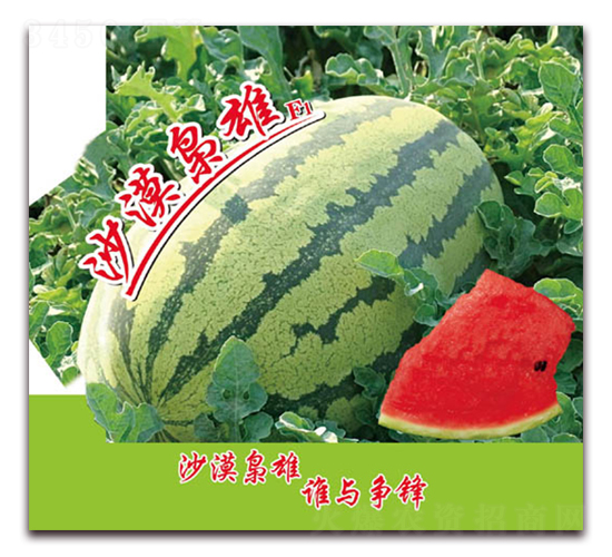 ɳĮ����-��������-��������