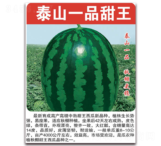 ̩ɽһƷ����-��������-��������
