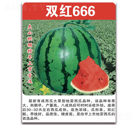 ˫��666-��������-��������