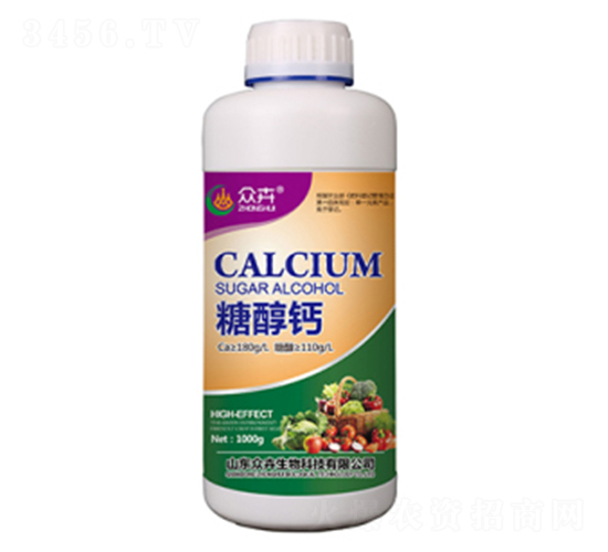 1000g�Ǵ���-�ڻ�����