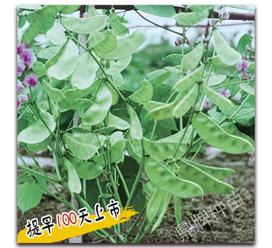 �컨1��-�ⶹ����-��������