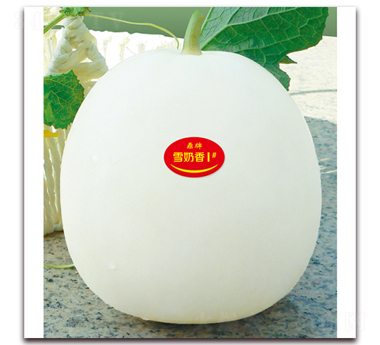 ѩ����1��-�������-��������