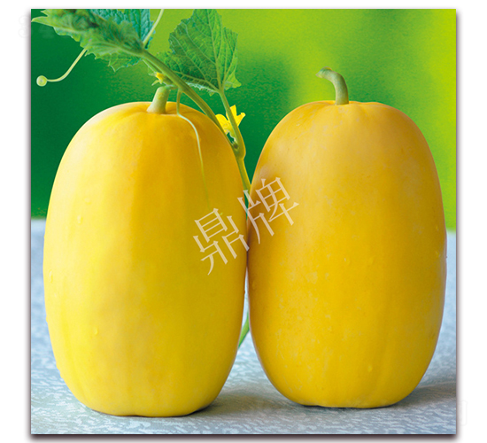 ʡ��108-�������-��������
