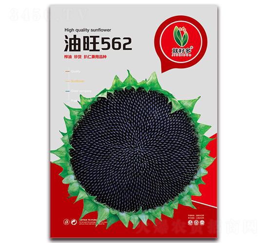 ����562-��������-������ҵ