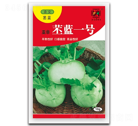 ����һ��-��������-�Ƿ�