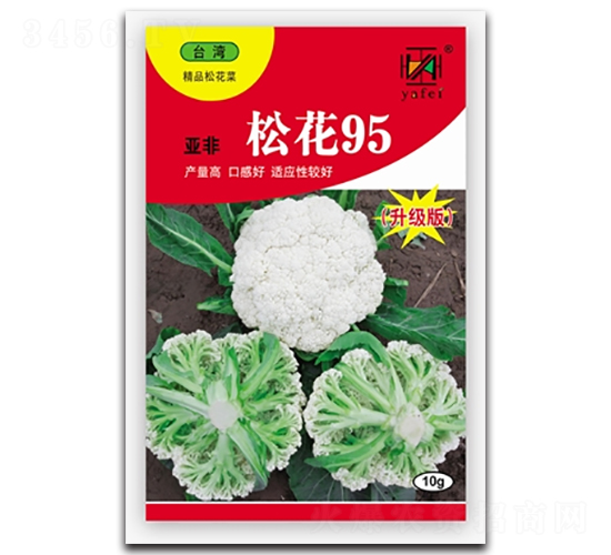�ɻ�95-�ɻ�������-�Ƿ�
