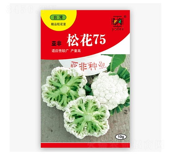 �ɻ�75-�ɻ�������-�Ƿ�