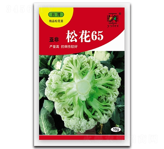 �ɻ�65-�ɻ�������-�Ƿ�