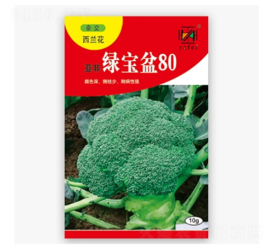 �̱���80-����������-�Ƿ�