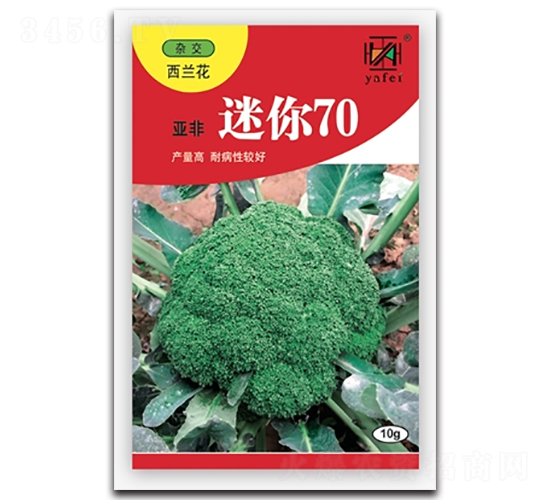 ����70-����������-�Ƿ�