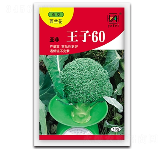 �Ƿ�����60-����������-�Ƿ�