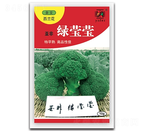 ��ӨӨ-����������-�Ƿ�