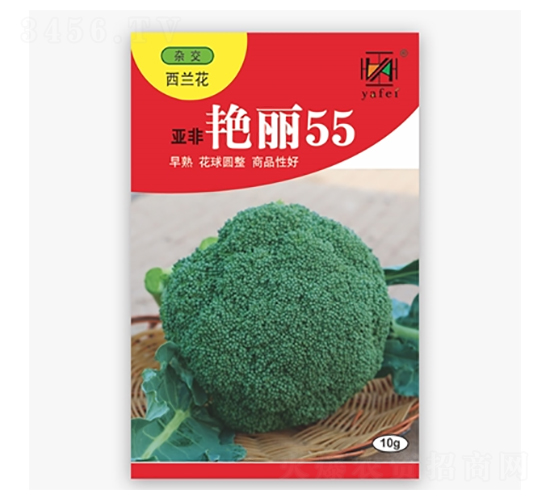 �Ƿ�����55-����������-�Ƿ�