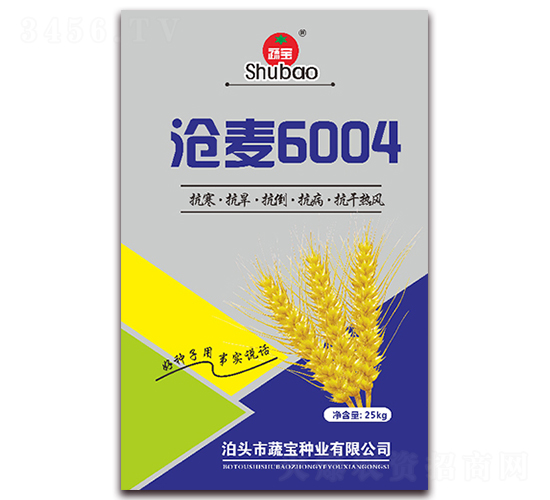 ����6004-С������-�߱���ҵ