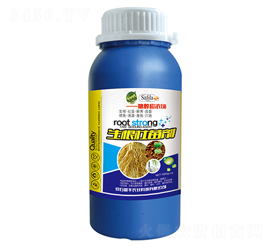 ����׳���-ӯ��ũҵ