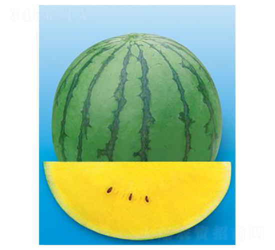 �½���-��������-΢����ҵ
