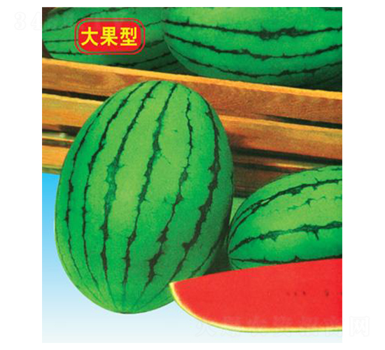 ����紺����-��������-΢����ҵ