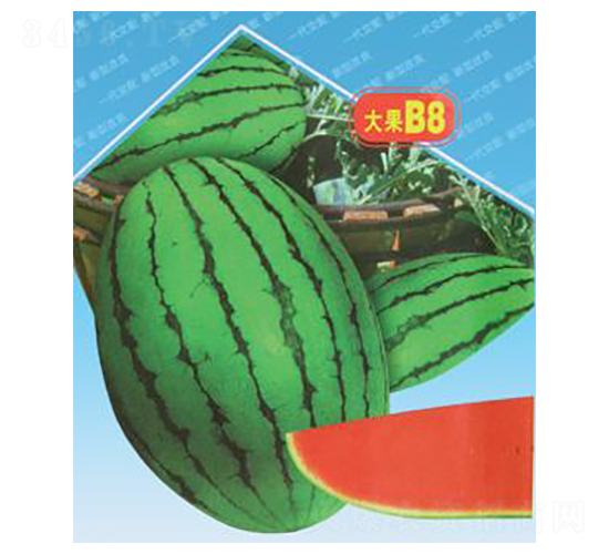 �紺����B8-��������-΢����ҵ