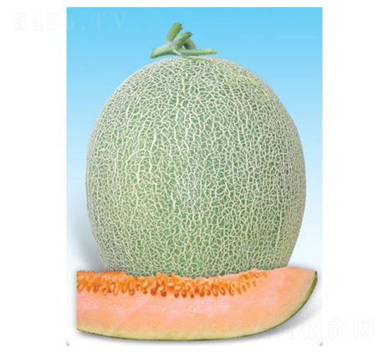 �����ֶ���-�������-΢����ҵ