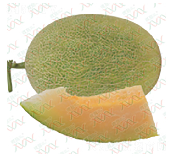 ��M-15017-�������-΢����ҵ