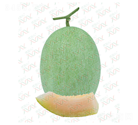 ��M-16002-�������-΢����ҵ