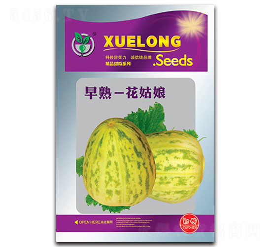���죭������-�������-���ѩ��