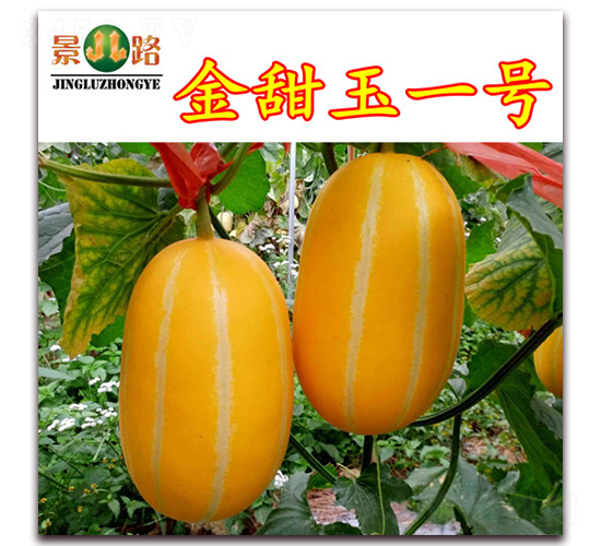 ������һ��-��Ƥ�������-��·��ҵ