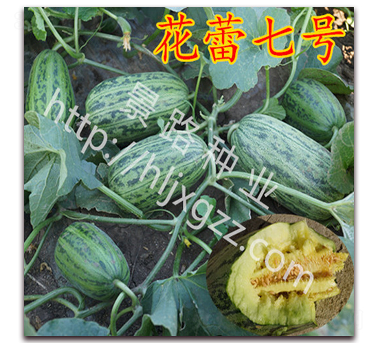 �����ߺ�-��Ƥ�������-��·��ҵ