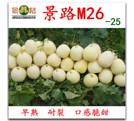 M26-25-��Ƥ�������-��·��ҵ