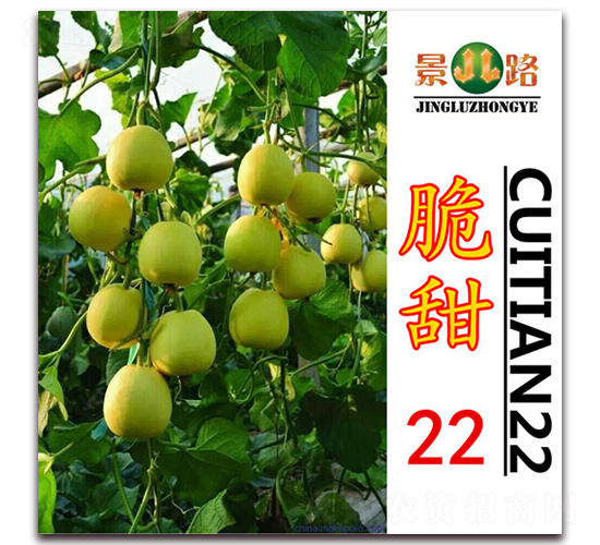 ��·����22-��Ƥ�������-��·��ҵ