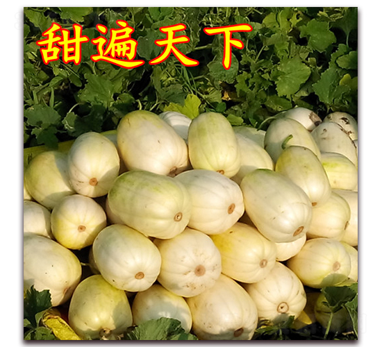 �������-��Ƥ�������-��·��ҵ