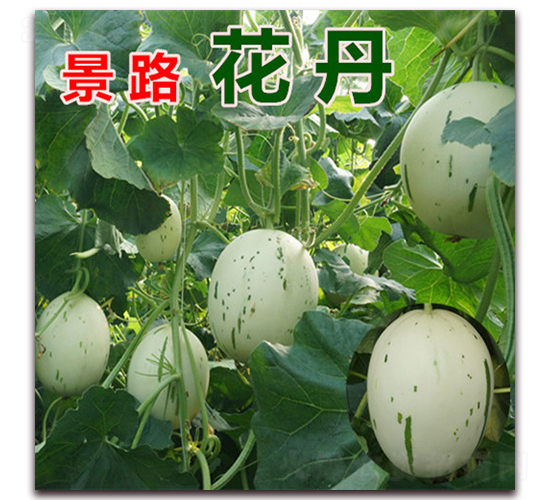 ��·����-��Ƥ�������-��·��ҵ