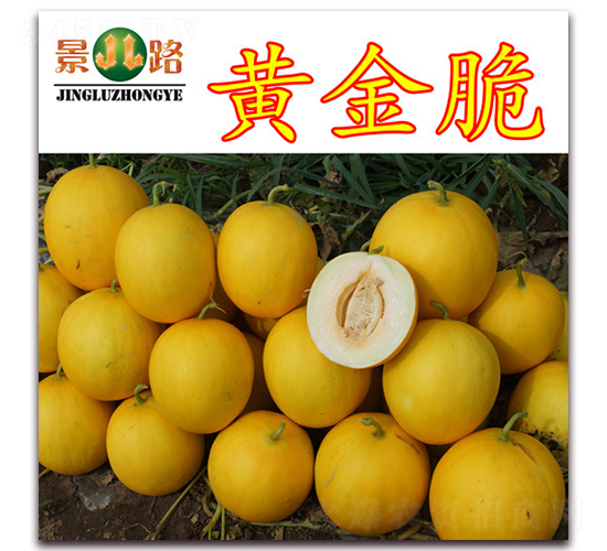 �ƽ��-��Ƥ�������-��·��ҵ