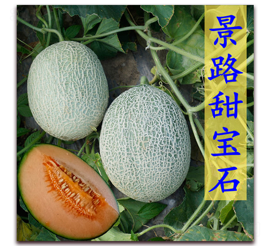 ��·��ʯ-��Ƥ�������-��·��ҵ
