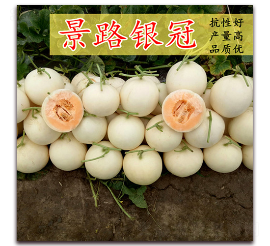 ��·����-��Ƥ�������-��·��ҵ