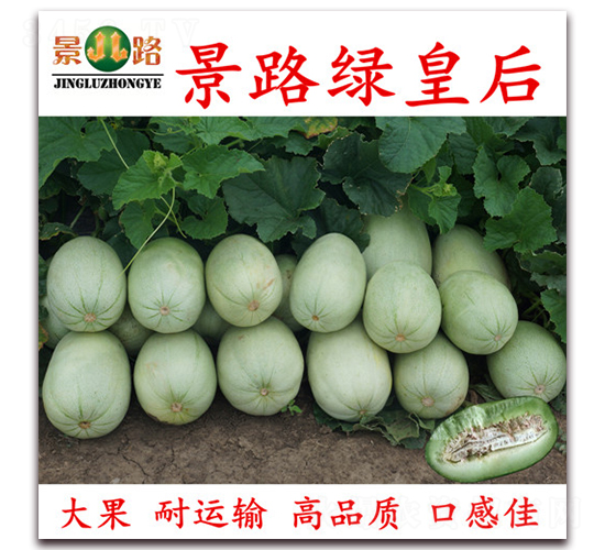 ��·�̻ʺ�-��Ƥ�������-��·��ҵ