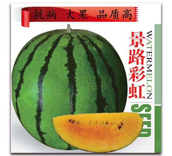 ��·�ʺ�-��������-��·��ҵ
