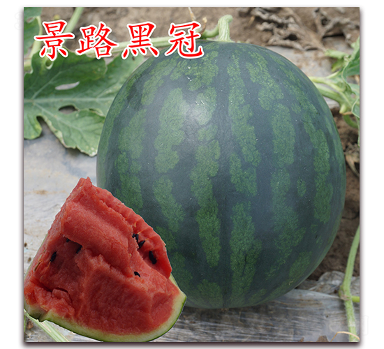 ��·�ڹ�-��������-��·��ҵ