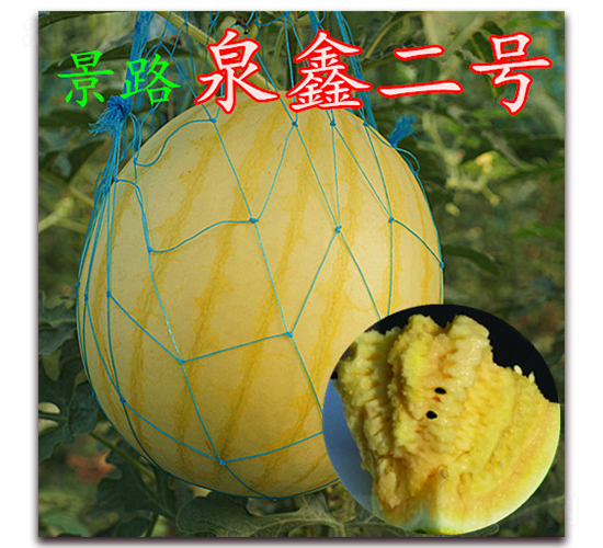 ��·Ȫ�ζ���-��������-��·��ҵ