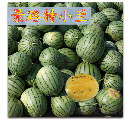 ��·��С��-��������-��·��ҵ