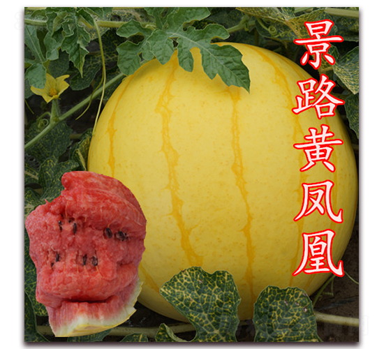 ��·�Ʒ��-��������-��·��ҵ
