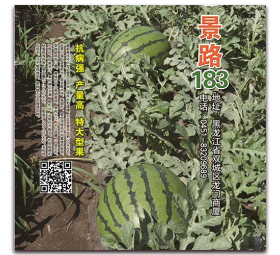 ��·183-����������-��·��ҵ