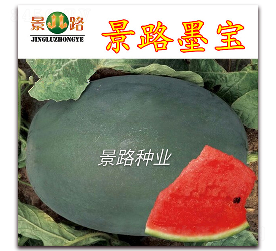 ��·ī��-����������-��·��ҵ